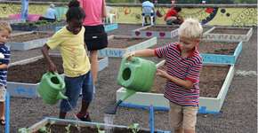 Abrigo ensina agricultura urbana sustentável a moradores de rua