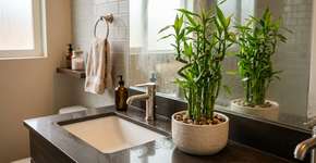 Foto: (Imagem sem texto alternativo disponivel ID [2776505])