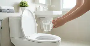 Foto: (Imagem sem texto alternativo disponivel ID [2755109])