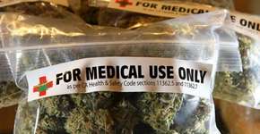 Foto: (Imagem sem texto alternativo disponivel ID [1192134])