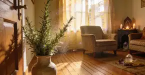 Foto: (Imagem sem texto alternativo disponivel ID [2682980])