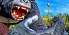 Beto Carrero: Menino que caiu de atração deixa UTI