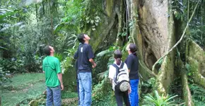 SP abre 3 mil vagas para formação gratuita de monitores ambientais