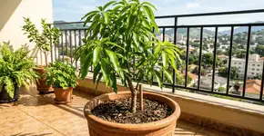 Foto: (Imagem sem texto alternativo disponivel ID [2765068])