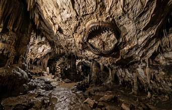 Secondary news: Imagina só: Você entra na caverna durante um passeio e encontre tubarões: um guarda florestal descobre fósseis de predadores de 3 a 3 metros que nadaram aqui há 325 milhões de anos no teto desta caverna