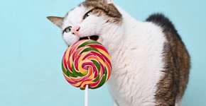 Foto: (Imagem sem texto alternativo disponivel ID [2652426])