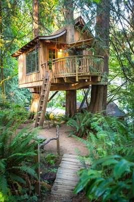 Issaquah, Washington, Estados Unidos (Foto: Treehousepoint) 