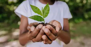 Atividades escolares na natureza podem beneficiar saúde mental