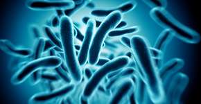 Infecção viral mão-pé-boca: entenda a doença que afetou Viih Tube e filhos