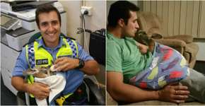 Conheça a história do canguru que adotou um policial como ‘mãe’