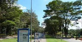 Foto: (Imagem sem texto alternativo disponivel ID [1844413])