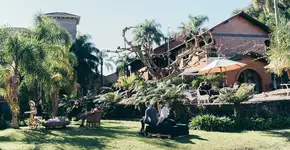 Vinícola gaúcha tem pacotes para Natal e Ano Novo