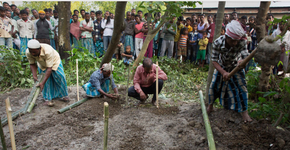 Boato espalhado pelo WhatsApp causa a morte de 7 pessoas