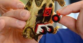 Foto: (Imagem sem texto alternativo disponivel ID [793941])