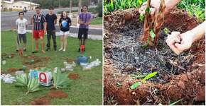 Jovens se mobilizam para transformar áreas degradadas em jardins