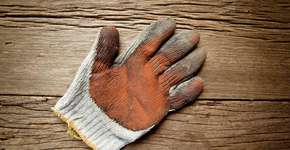 Foto: (Imagem sem texto alternativo disponivel ID [924004])