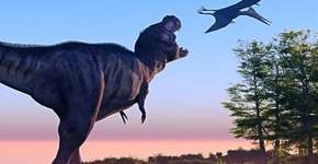 Foto: (Imagem sem texto alternativo disponivel ID [477432])