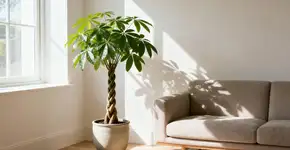 Foto: (Imagem sem texto alternativo disponivel ID [2673425])