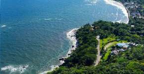 4 praias do litoral de São Paulo que se destacam pelo verde