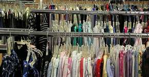 Foto: (Imagem sem texto alternativo disponivel ID [534699])