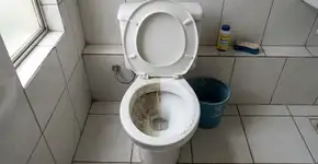 Vaso sanitário amarelado tem solução! Descubra a fórmula secreta do “pó milagroso”: basta polvilhar e deixar agir por 1 hora. Em apenas 1 hora, seu vaso estará branco e brilhante