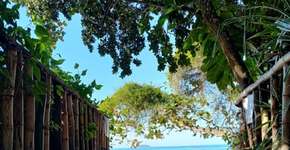 5 praias com beleza singular no litoral de São Paulo