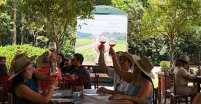 Foto: (Divulgação/@roteirodovinho)