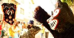 Foto: (Imagem sem texto alternativo disponivel ID [575205])