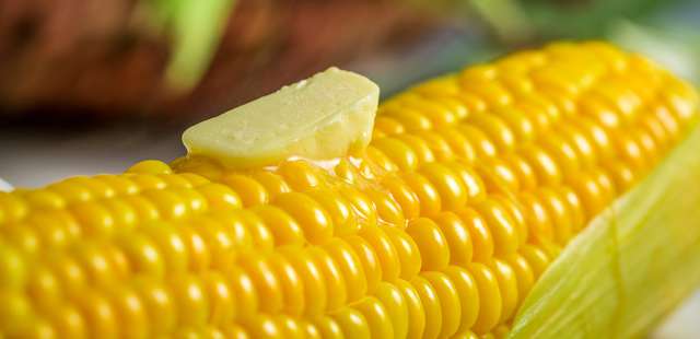 Milho cozido com manteiga na airfryer: zero bagunça, 100% sabor