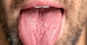 Foto: (Joe Hendrickson/istock)