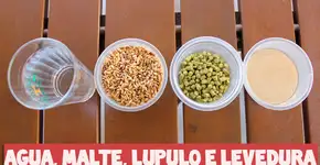 Aprenda a fazer cerveja artesanal nesta série de vídeos gratuitos