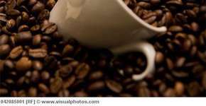 Foto: (Imagem sem texto alternativo disponivel ID [433572])