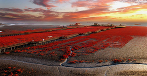 Foto: (Imagem sem texto alternativo disponivel ID [1394245])