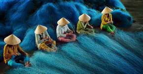 Foto: (Imagem sem texto alternativo disponivel ID [1829474])