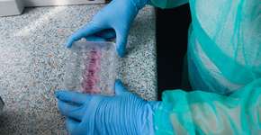 Foto: (Getty Images/iStockphoto)