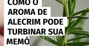Como o aroma de alecrim pode turbinar sua memória prospectiva