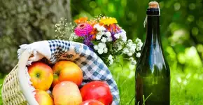 Parque da Cidade recebe piquenique vegano