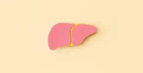 Entenda a relação entre obesidade e gordura no fígado