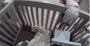 Foto: (Imagem sem texto alternativo disponivel ID [1450095])