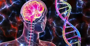 Como funciona o exame que detecta Alzheimer em 10 minutos?