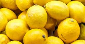 Limão siciliano pode ajudar a evitar pedras nos rins