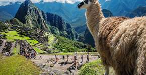 Peru Week reúne pratos típicos do país e pacotes de viagem