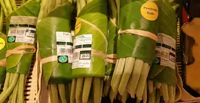 Folha de bananeira substitui embrulhos plásticos de supermercado