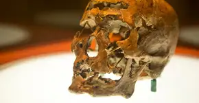 Origens BR: a história das Américas antes da chegada de Cabral