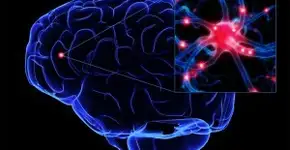 Cérebro-Lesado e Deficiente Sensório-Motor