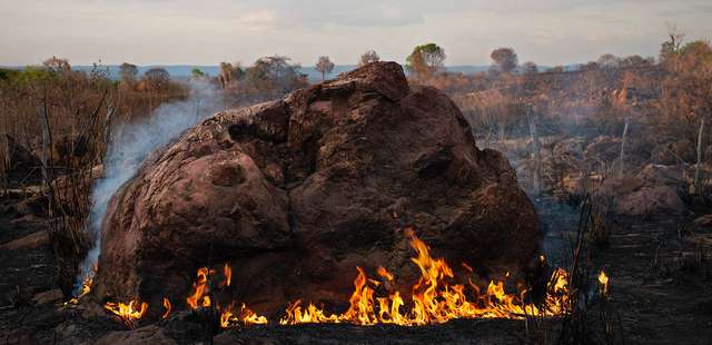 Exposição ‘Atlântico Sertão’