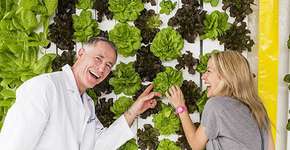 Foto: (Imagem sem texto alternativo disponivel ID [1828288])