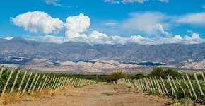 Foto: (Divulgação/Inprotur)