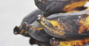 10 dicas para evitar o desperdício de alimentos