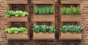 Startup reutiliza casca de frutas e sementes para fazer cupcakes